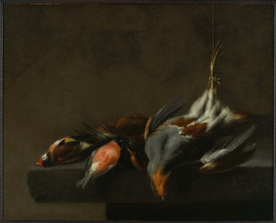 Stillleben mit toten Vögeln, ca. 1660 von Jan Vonck